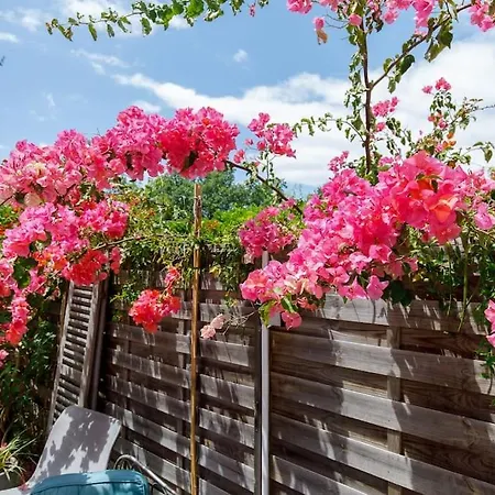 Daire L'annonciade-calme-terrasse-parking *
